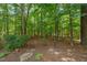 Secluded backyard with mature trees, lush greenery, and a stone path at 4613 Moores Creek Rd, Durham, NC 27705