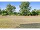 Photo of the home's flat, grassy backyard, lined with trees and a treeline at 713 Ramsours Mill Dr, Holly Springs, NC 27540