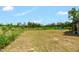 Large, grassy backyard with mature trees and a pool in the distance at 7620 Sam Hall Rd, Oxford, NC 27565