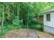 Lush backyard featuring bamboo, partial fencing, and access to a wood deck at 1907 Bivins St, Durham, NC 27707