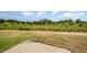 Large backyard featuring a concrete patio, grass, and natural wooded area at the property line at 44 Chloe Ct, Selma, NC 27576