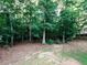 A tree-filled backyard with mature foliage provides a secluded view and backyard privacy at 604 Doddington Dr, Rolesville, NC 27571
