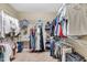 Walk-in closet features shelving, hanging rods and carpet flooring at 71 Smithsanders Ct, Smithfield, NC 27577