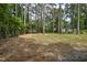 Spacious backyard surrounded by mature trees, offering shade and privacy at 813 Burton St, Rocky Mount, NC 27803