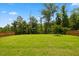 Expansive backyard with lush green grass, mature trees, and a serene, fenced perimeter at 2713 Jazzy St, New Hill, NC 27562
