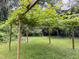 Backyard pergola with climbing vines creates a shady outdoor space at 275 Gholson Ave, Henderson, NC 27536