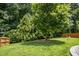Spacious backyard featuring lush greenery, mature trees, and a relaxing hammock at 304 Forbes Rd, Wake Forest, NC 27587