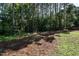 Lawn with pine needles and trees at 3045 Creek Moss Ave, Wake Forest, NC 27587