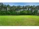 Wide green field with a backdrop of tall trees, enclosed by a black wooden fence at 633 Fleming Rd, Youngsville, NC 27596