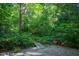 Secluded backyard garden with mature trees and decorative landscaping at 820 Runnymede Rd Rd, Raleigh, NC 27607