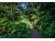 Lush garden path, surrounded by thriving plants and trees, invites you to explore the outdoors at 820 Runnymede Rd Rd, Raleigh, NC 27607