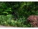 Lush landscaping along the edge of the road with a colorful arrangement of plants and trees at 820 Runnymede Rd Rd, Raleigh, NC 27607