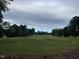 A lush green golf course is beautifully framed by mature trees, creating a serene and inviting atmosphere for players at 10411 Rosegate Court # 6, Raleigh, NC 27617