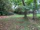 Backyard with mature trees providing shade and greenery, creating a peaceful outdoor retreat at 1806 Rendall St, Burlington, NC 27215