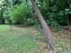 Green backyard showing trees and leaf coverage with a vibrant lawn at 1806 Rendall St, Burlington, NC 27215