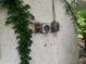 Close-up of the exterior wall featuring utility meters and climbing vines, adding character to the facade at 1806 Rendall St, Burlington, NC 27215