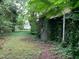 Showing foliage coverage of house's exterior in backyard at 1806 Rendall St, Burlington, NC 27215