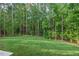 Spacious backyard with lush green grass and mature trees at 2124 Country Air Ln, Hillsborough, NC 27278
