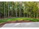 Private backyard featuring a patio area with beautiful wooded views at 2124 Country Air Ln, Hillsborough, NC 27278