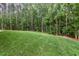 Backyard featuring mature trees and a manicured green lawn at 2124 Country Air Ln, Hillsborough, NC 27278