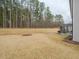 Expansive backyard featuring a well-maintained lawn, mature trees, and a screened porch, ideal for outdoor activities at 301 Porter Hill Dr, Youngsville, NC 27596