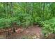 Expansive backyard backing onto a dense forest at 3086 Colony Rd # C, Durham, NC 27705