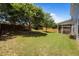 Expansive backyard with a well-maintained lawn and privacy fence at 317 Striped Maple Ct, Apex, NC 27539