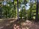 Backyard view with trees, partial fence, and natural ground cover at 3721 Suffolk St, Durham, NC 27707