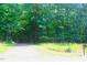 Acreage with a tree lined driveway and a mailbox on the right side of the road at 622 Enon Rd, Oxford, NC 27565