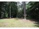 A view of the wooded area of the spacious backyard at 6717 Valley Dr, Raleigh, NC 27612