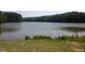 Scenic lake view with serene waters and lush green surroundings at 713 Traditions Grande Blvd, Wake Forest, NC 27587