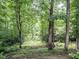 Lush backyard featuring mature trees and established greenery, offering a private and peaceful outdoor space at 820 Parkridge Dr, Clayton, NC 27527