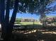 Backyard with manicured lawn, flowerbeds, and mature trees, providing a serene and private outdoor space with a screened porch at 85 Willard Wood Run, Benson, NC 27504