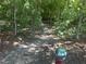 Scenic walking trail winding through a peaceful wooded area, offering a tranquil escape and connection with nature at 85 Willard Wood Run, Benson, NC 27504