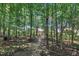 Wooded area with trees and natural ground cover at 85 Willard Wood Run, Benson, NC 27504