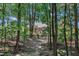 Wooded area with trees and natural ground cover with ornament at 85 Willard Wood Run, Benson, NC 27504