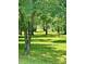 Scenic view of a grassy area near the water, bordered by lush trees and foliage at 94 S Waters Edge Ln, Henderson, NC 27537