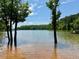 Waterfront land with trees and a dock, under a partly cloudy sky at 94 S Waters Edge Ln, Henderson, NC 27537