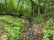 Natural creek flowing through a wooded area, offering serene views and natural beauty at 114 Council Gap Ct, Cary, NC 27513