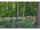 Fenced backyard with a mature, landscaped garden at 12320 Tetons Ct, Durham, NC 27703