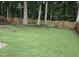 Grassy backyard featuring a wooden fence and mature trees at 12320 Tetons Ct, Durham, NC 27703