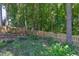 Expansive backyard featuring a charming wooden fence, mature trees, and lush greenery for privacy at 12320 Tetons Ct, Durham, NC 27703