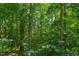 Lush, green trees provide shade in this beautifully wooded area at 12320 Tetons Ct, Durham, NC 27703