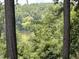 Enjoy a serene view of the lush greenery and lake, seen perfectly through the tree-lined property at 1302 Springlawn Ct, Raleigh, NC 27609