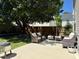 Spacious backyard featuring a concrete patio with outdoor seating, a grill, and a large, shady tree at 137 Palmdale Ct, Holly Springs, NC 27540