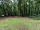 A spacious backyard featuring lush green grass, mature trees, and a wooded area at the property's rear at 203 Lane Of Sir Kay, Garner, NC 27529