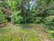 A spacious, lush backyard features trees and greenery, offering a peaceful outdoor space at 2400 Fairview Rd, Raleigh, NC 27608