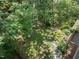 Aerial view of lush backyard highlighting a private outdoor space at 2400 Fairview Rd, Raleigh, NC 27608