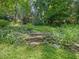 Backyard landscape featuring stone steps, lush foliage, and mature trees for a serene and inviting outdoor experience at 2400 Fairview Rd, Raleigh, NC 27608