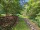 Backyard landscape with stone accents, lush foliage, and mature trees, creating a private and tranquil outdoor retreat at 2400 Fairview Rd, Raleigh, NC 27608